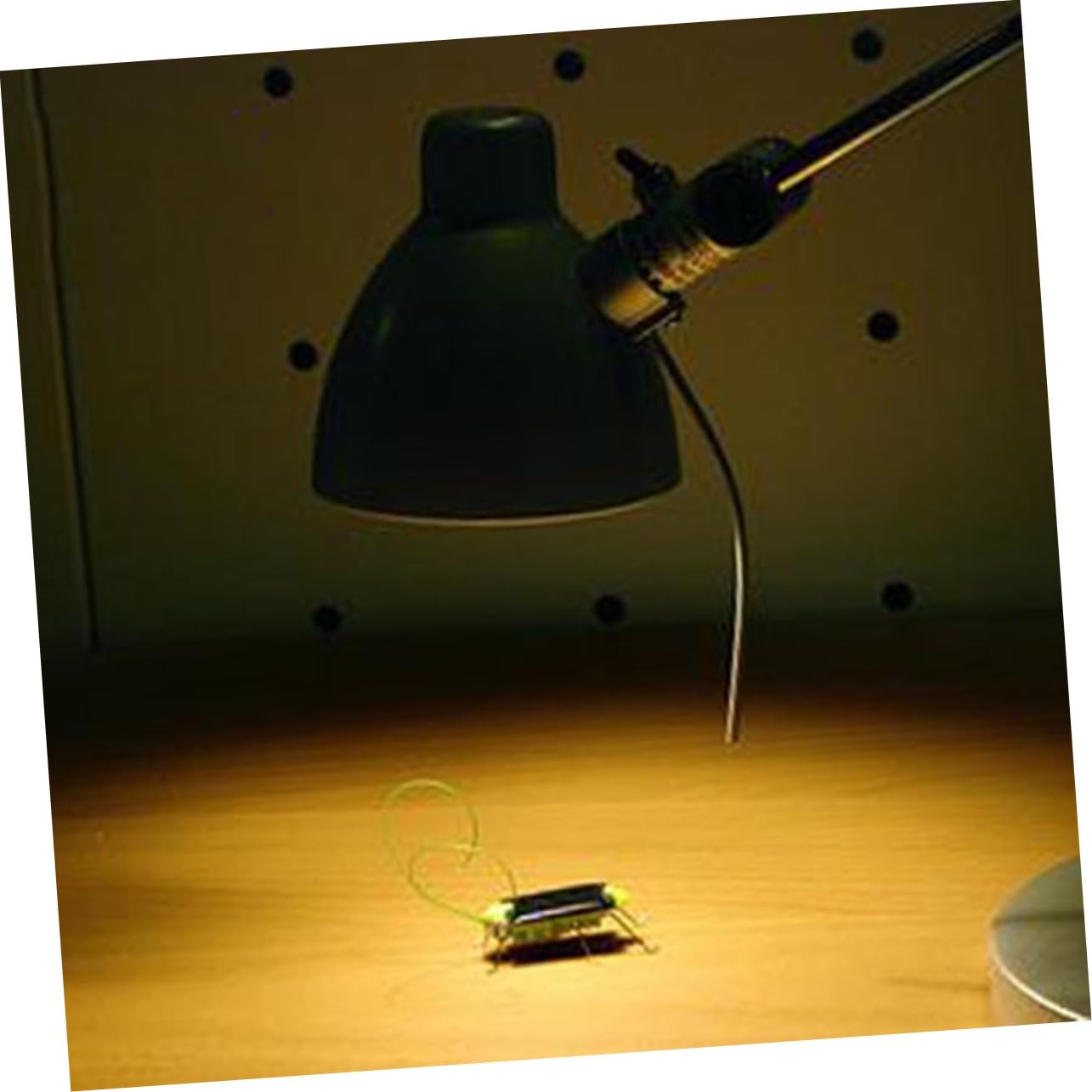 cucarachas Falsas educativas,Juguetes de Insectos con energ¡§AA Solar, Juguetes de simulaci¡§?n de cucarachas Falsas, Accesorios de decoraci¡§?n de cucarachas de Halloween, Kit de Broma para ni?os cucarachas Falsas educativas,Juguetes de Insectos con energ¡§AA Solar, Juguetes de simulaci¡§?n de cucarachas Falsas, Accesorios de decoraci¡§?n de cucarachas de Halloween, Kit de Broma para ni?os