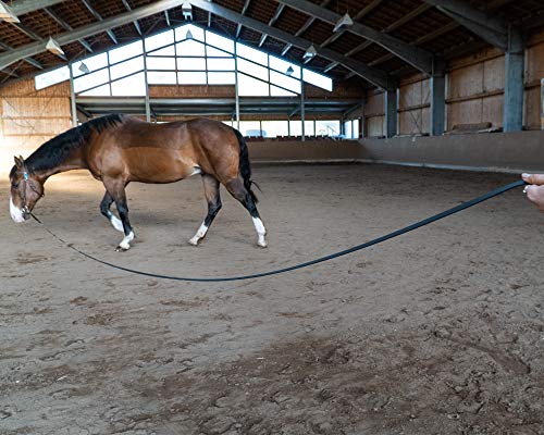 Foto von bio-leine Longe Führstrick 5 bis 10m aus Biothane - 16mm breit I Pferdelonge mit Handschlaufe I 20 Farben I Softlonge Leine Longierleine für Reitsport