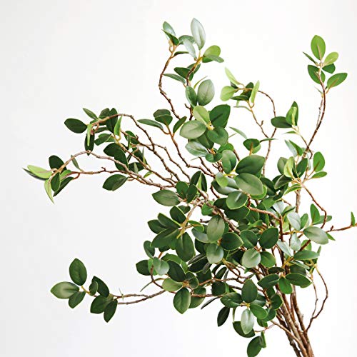 Sunm Boutique Artificial Ficus Branches Leaf Spray, Faux Silky Ficus Tree Twig, Banyan Branches Real Touch Leaves Ficus Microcarpa For Home, Wedding, Office, Banquet Decor, 31'', 3Pcs… #TOP5