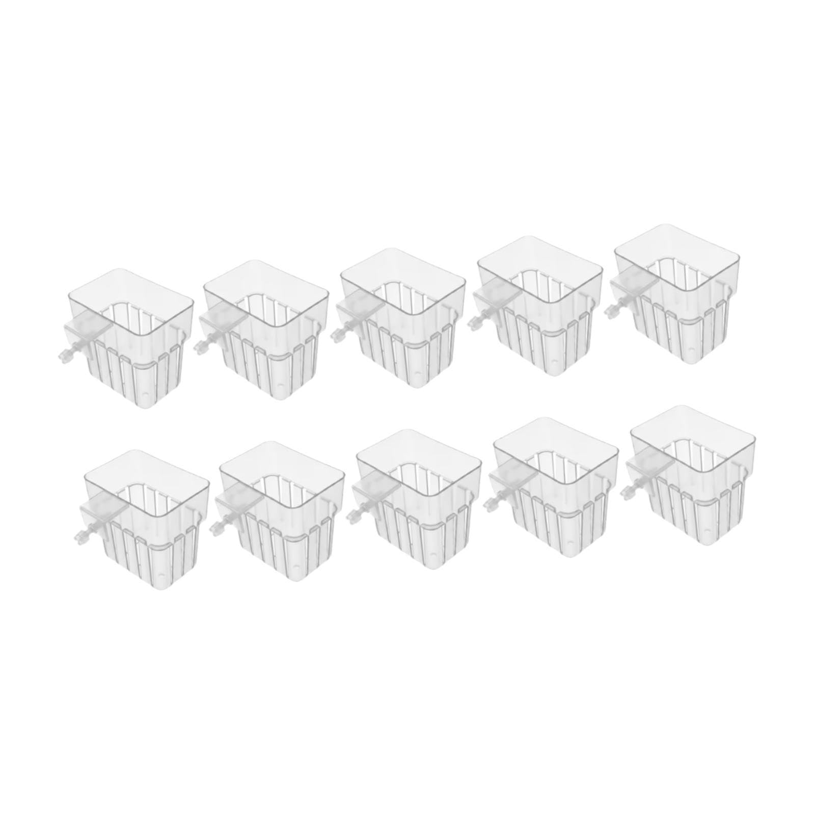 Soportes para Plantas de Acuario para Decorar Paisajes Acuáticos