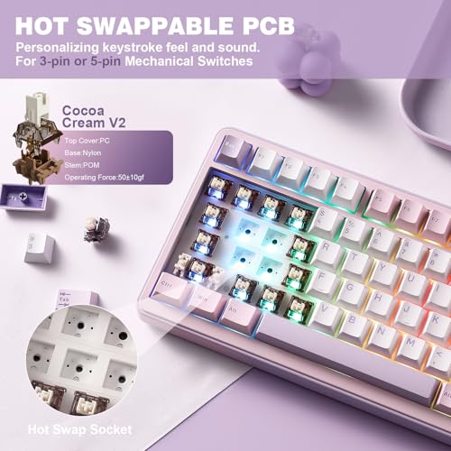 YUNZII B75 PRO Wireless Mechanical Keyboard,75% Layout with Knob,Hot Swap Gasket Custom Structure,Creamy Pre-lubed Switches,RGB Backlit,Bluetooth/Type-C/2.4G for Win/Mac(Cocoa Cream V2 Switch,Purple) by YUNZII - Image 5
