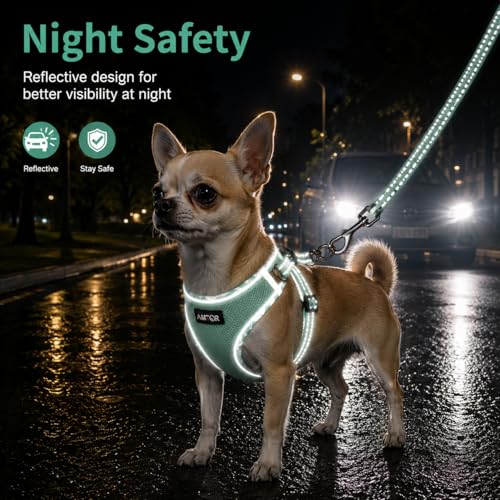 AMTOR Small Dog Harness with Leash Set, No Escape Easy Walk Puppy Harnesses for Training Walking, Step-in Reflective Soft Dogs Vest for XS S Medium Extra-Small Large Sized Dog(Green,S) - Image 5