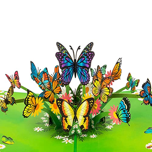 JtȒ̃|bvAbvJ[h 3DO[eBOJ[h a ̓ LO Ȃ̂Ƃv  t @ | 5C` x 7C`