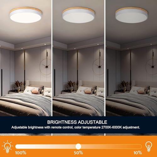 Plafonnier LED Moderne Pongnas à intensité variable avec télécommande pour chambre et cuisine