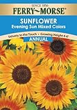 Ferry-Morse 1501 Sunflower Annual Flower Seeds, Evening Sun (1.5 Gram Packet)