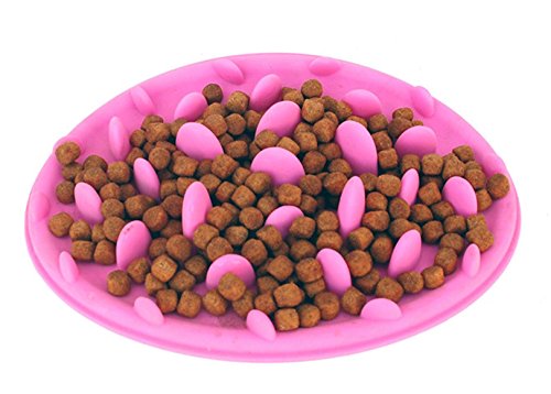 Hosaire 1X Ciotole Cane, Antiscivolo Lento Cibo