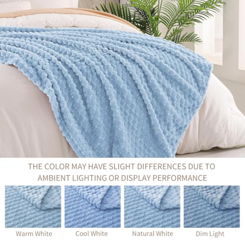 Image of Exclusivo Mezcla 3D Fleece Queen Size Blanket for Bed, Stone Blue | Extra Soft Fuzzy Plush Lightweight Bed Blankets, Cozy Fluffy Decorative Blankets for All Seasons, 90x90 Inches