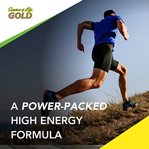 Naturesplus Source Of Life Gold Adult Multivitamin Gummies - 60 Whole Food Gummies - Complete Daily Vitamin Supplement - Free Radical Defense, Energy Support - Gluten-Free - 30 Total Servings #TOP5