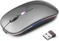 Mouse Sem Fio Premium Recarregável, Design Ergonômico, Clique Silencioso, Iluminação RGB Personalizável, Bluetooth 5.0 & Dongle USB, DPI Ajustável (Cor Cinza) - PREMIUM