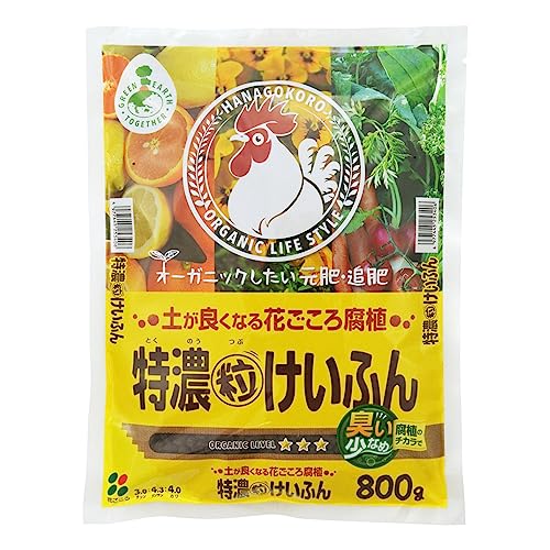 Ԃ {ӂ͔ yfdszZӂ 800g