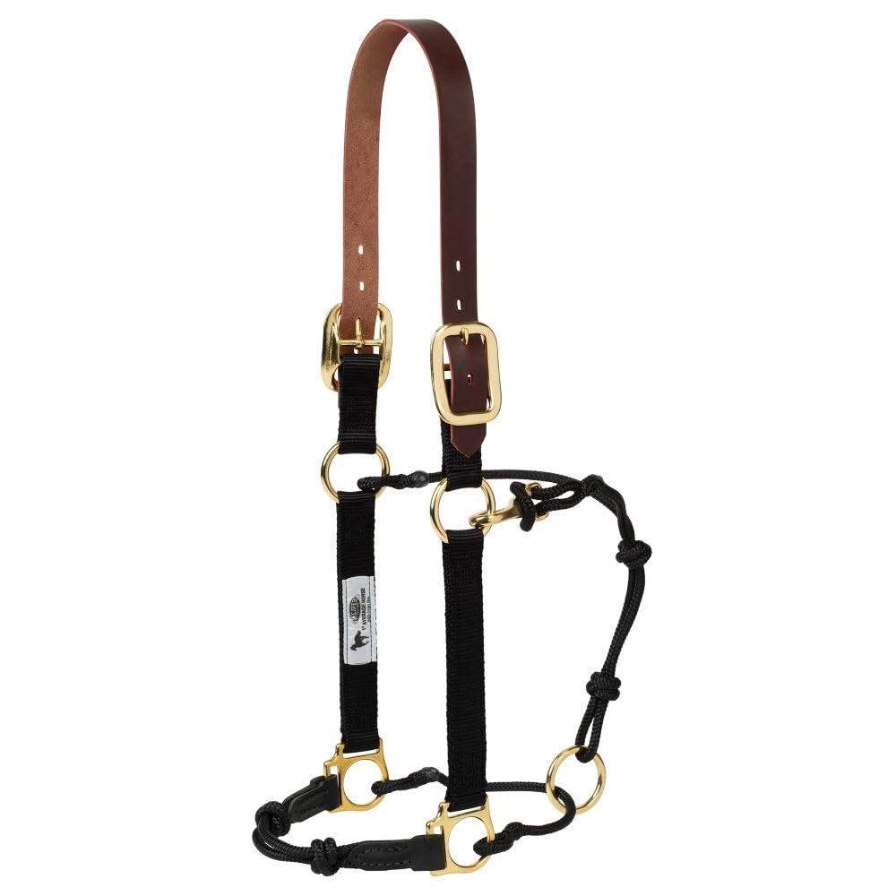 Cabestro de caballo, combinación de nailon, cuero y cuerda. Weaver Equine