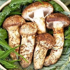 松茸 - Amazon.co.jp