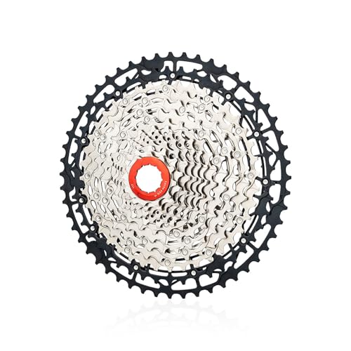 11/12/13 Xs[hJZbgXvPbgyʎ]ԃtCzC[[hoCNJZbgyʎ]ԃt[zC[