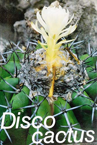 Discocactus
