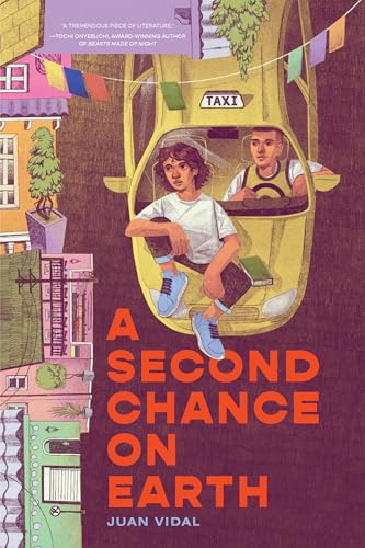 A Second Chance on Earth view 2