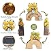 Attivolife Garden Statue Turtle Welcome Decor, Outdoor Solar Light Cute Succulent Frog Face Figurines LED, Patio Lawn Porch Yard Balcony Decor, Unique Housewarming Birthday Gift for Mom Women