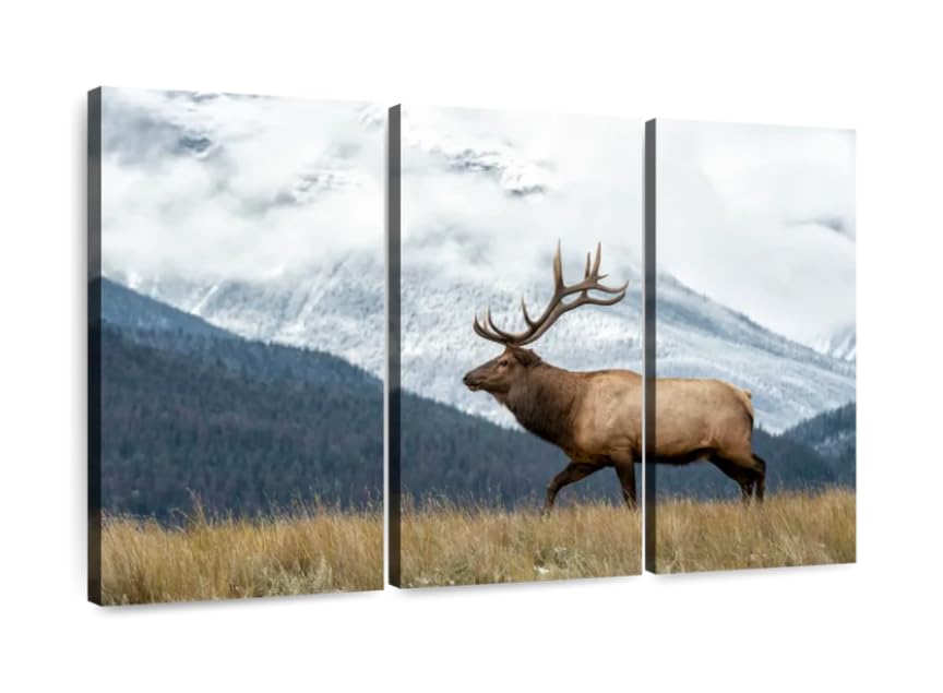 Posters et arts décoratifs triptyque grand format 120x60cm avec cadre en bois