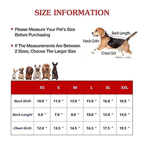 Ymond Dog Jean Jacket Puppy Denim T-Shirt, Machine Washable Lapel Vests, Cool Dog Clothes, Comfort And Cool Pet Apparel For Small Medium Dogs And Cats (Hat + Flower, Xl) #TOP1