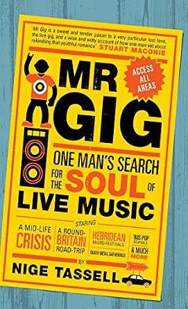 Mr Gig book cover