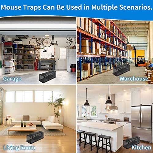 Hianifri Mouse Trap， Humane Catch And Release Mice Trap Indoor Outdoor For Home No Kill, Mouse Traps Live Rat Traps Indoor For Home 3-Mouse Trap #TOP5