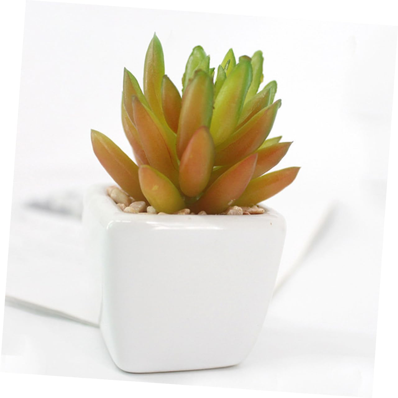 Succulente Artificielle Mini Pot Céramique Lot de 6 Set de Pièces Blanc