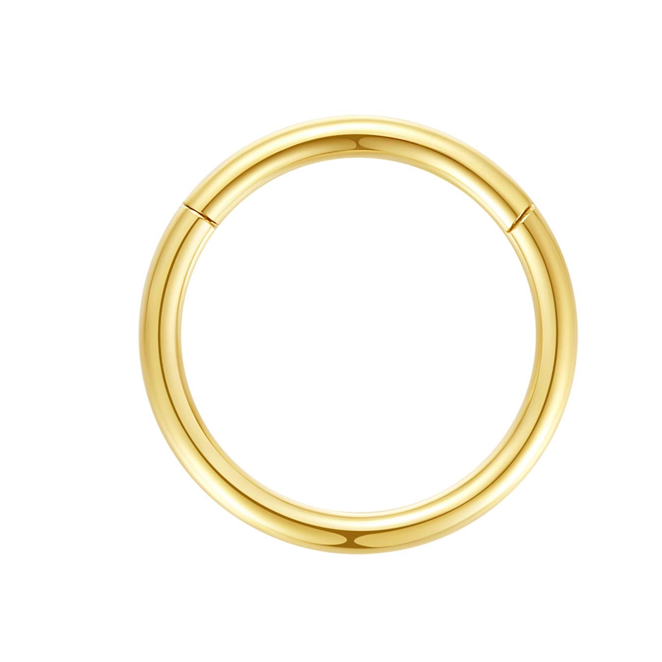 ORANGELOVE Hypoallergenic Nose Rings 20G 18G 16G 14G 12G 10G 8G 316l Surgical Steel Septum Jewelry Hinged Segment Ring Body Piercing Nose Hoop Lip