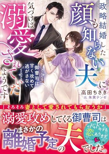 政略結婚した顔も知らない夫に気づけば溺愛されていたようです～御曹司は甘く攻めて逃がさない～【SS付き】 (ベリーズ文庫)