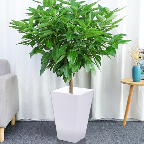 Pot de fleurs carré en résine durable pour porche et extérieur - 3
