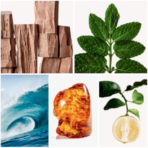 Banderas ANTONIO Blue Seduction for Men Eau de Toilette, 200 ml