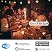 Minoston Matter Outdoor Smart Plug WiFi Heavy Duty Plug-in Outlet IP65 Waterproof, Compatible with Alexa Apple Home SmartThings Google Home, Smart Life, Remote Control, 15Amp Black (MP22M)