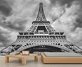HYGIUID Eiffel Tower Mural French Architecture Wallpaper Romance Wall Mural Giant 3D Wallpaper Commercial Scale Coffee Shop Lounge Gallery (Non-self-Adhesive)