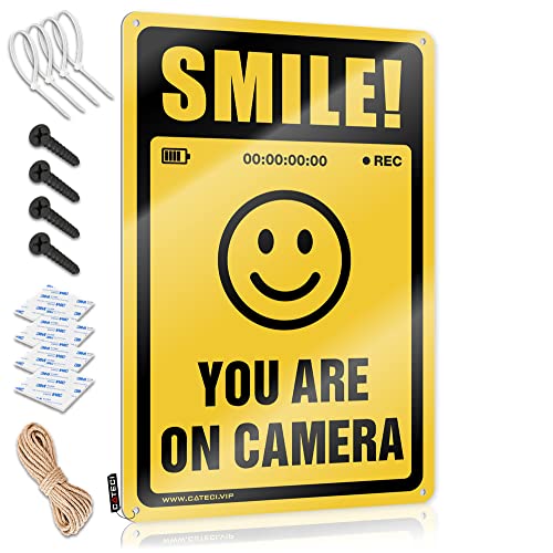 Funny Plaques for Men Smile!You are On Camera ブリキ看板 おもしろサイン オフィス ホームデコレーション 男性用 (サイズ:20X30CM )
