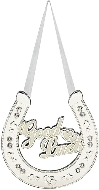 LEONARDO Silver Wedding Horseshoe with Good Luck Message