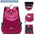 YZAOLL 20L Small Hiking Backpack Lightweight Day Packs, Packable Backpack for Women Men Travel Camping Vacation,Rose