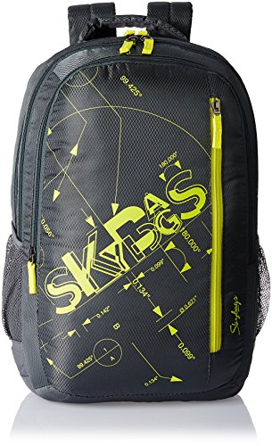 Image of Skybags Pixel 30 Ltrs Grey Casual Backpack (PIXPLS03GRY)