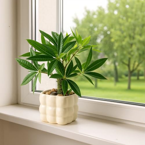 光触媒 フェイクグリーン ミニ観葉植物 熱帯観葉植物 金のなる木セラミック材質角型鉢 造花 観葉植物 フェイク 鉢付き おしゃれなインテリア雑貨 世話不要 水やり不要 玄関・オフィス・ホーム・ホテルに最適 ギフトにも 結婚式祝い [3]