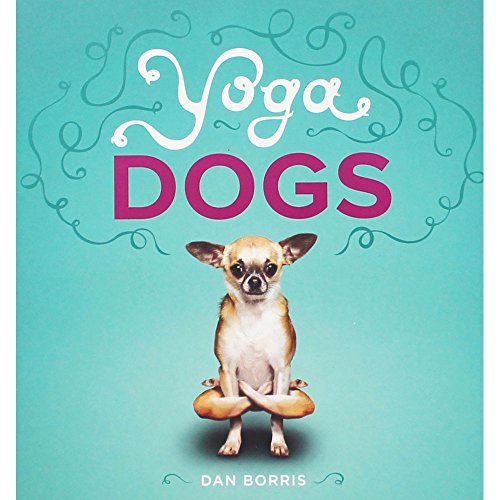 Yoga Dogs view 2