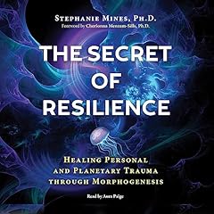 The Secret of Resilience Audiobook By Stephanie Mines, Cherionna Menzam-Sills - introduction cover art