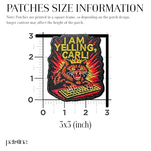 I Am Yelling Carl Patch, Funny Princess Donut Screaming Cat Meme by Generic - Used condition - Image 6