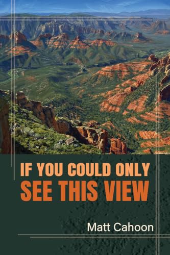 If You Could Only See This View (English Edition)
