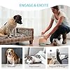 Dog Treat Dispenser with Button
