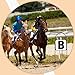 ITULCYO 8PC Dressage Letters Arena Markers，Dressage Letters for Arena Equestrian Athletes Letters Dressage Arena Letters Arena Dressage Letters Dressage Arena Markers Letters（A，B，C，E，F，H，K，M）