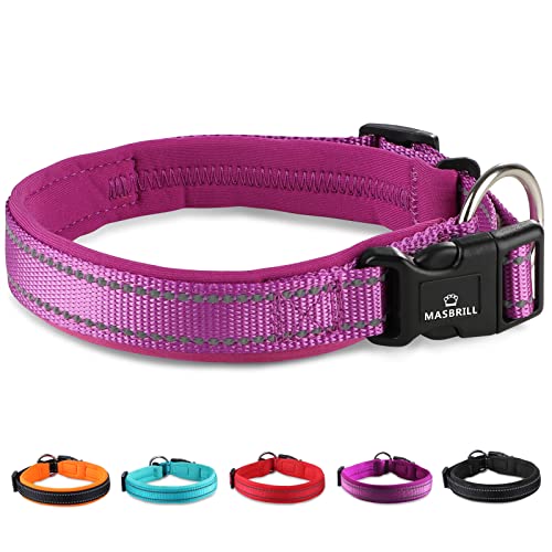 MASBRILL Collier pour Chien, Collier en Nylon Réfléchissant avec Rembourrage Doux, Collier Respirant Réglable pour Chiots, Chiens (Violet M) Cover