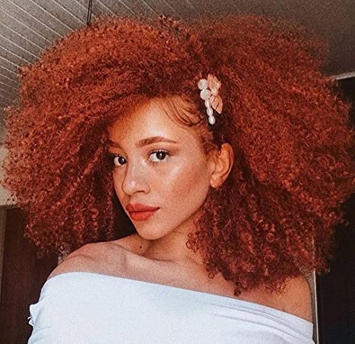 Curly Afro Wigs for Black Women Short Kinky Curly Wigs