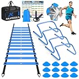 Agility Ladder, Speed Training Equipment Set, 20ft Agility Ladder, 12 Soccer Cones, 4 Hurdles, Jump Rope, Running Parachute, Basketball Football Soccer Training Equipment for Kids, Youth, Adults