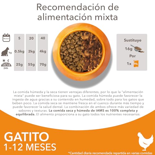 Miniatura 6 de IAMS Alimento Seco para Gatitos de 1-12 meses, Pollo, 3 kg