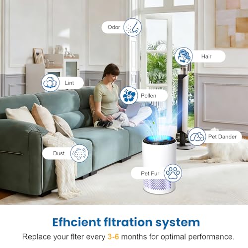 Image of 3 Pack MK06 MK01 Replacement Filter for AROEVE MK01 MK06 Air Purifier | for Kloudi DH-JH01, 3-in-1 True HEPA High-Efficiency Activated Carbon Filter for Home Large Room
