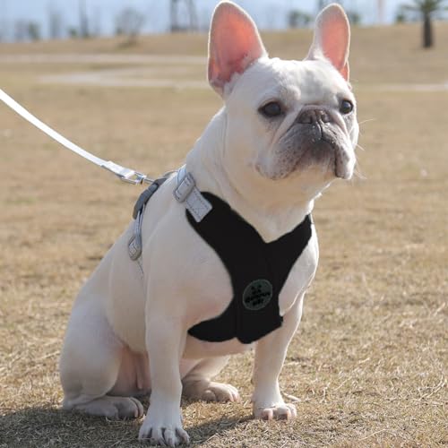 FEimaX Hundegeschirr für Kleine Mittlere Hunde Anti Zug Reflektierend Weich Brustgeschirr mit Hundeleine No Pull Hunde Geschirr Verstellbare Atmungsaktiv Welpen Hundegeschirr