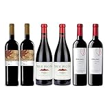  Pack Mejores Vinos Españoles Value según Parker 6 botellas. 2 de Borsao Tres Picos, 2 de Purno y 2 de Solanera