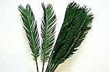 floristik deko ostern 12 Stück Palmenblättern - Künstliche Blätter CB 42 - 12 St.Blatt mit Drahtlänge ca. : 40 cm., Ohne Draht Länge 26 cm., Breit 9 cm., Gewicht: 12 Stück = 150 Gr., Material : Kunststoff (Plastisch)